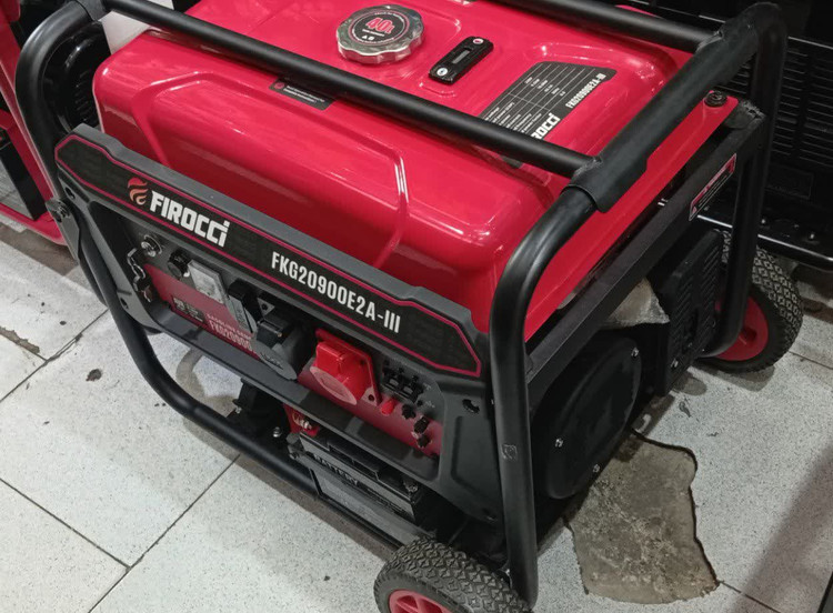 موتور برق فیروچی مدل FKG20900E2A-III