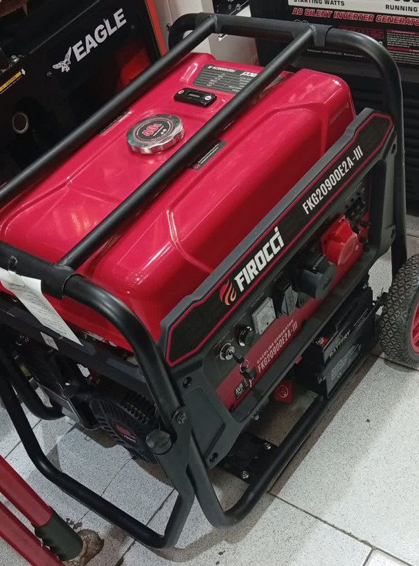 موتور برق فیروچی مدل FKG20900E2A-III