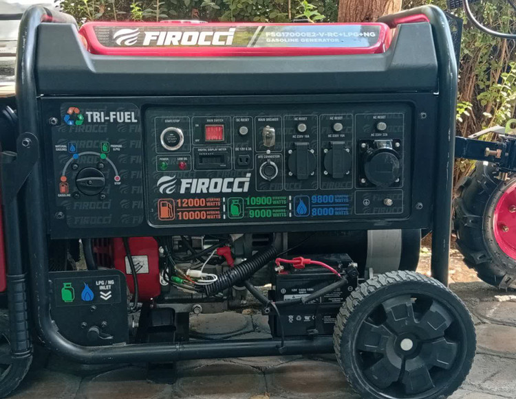 موتور برق فیروچی 21 اسب بخار مدل FRG17000E2-A-RC- EQ3